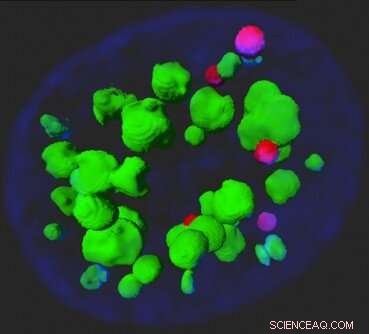 New Protein TAO2 Discovered as Key Inhibitor of Influenza Virus Replication