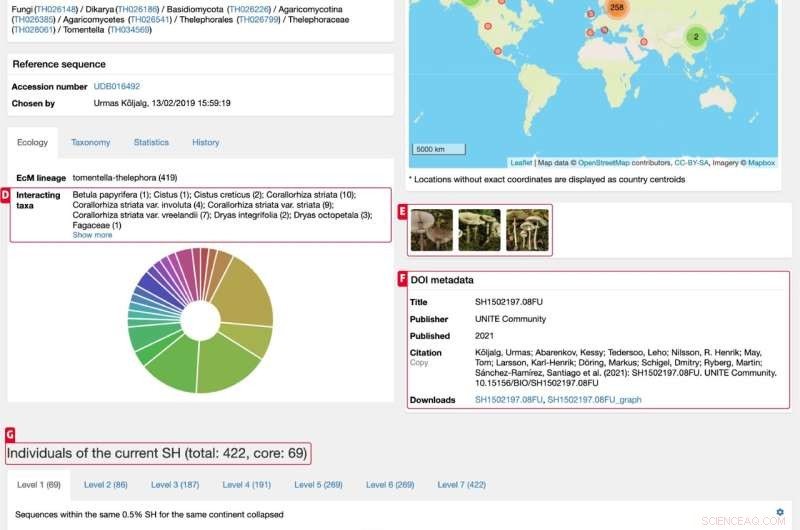 Scientists Propose Species Stock Market to Value Biodiversity and Hold Pollinators Accountable