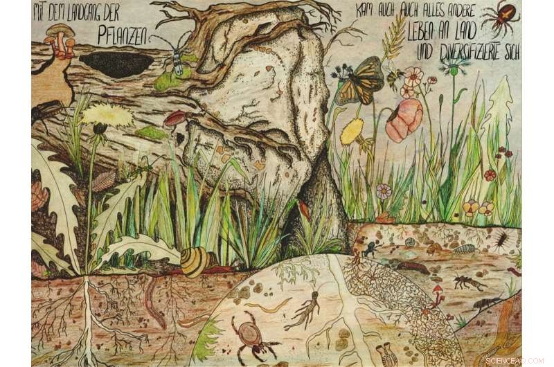 Unveiling the Journey of Plant Colonization: How Flora Transitioned to Land 500 Million Years Ago