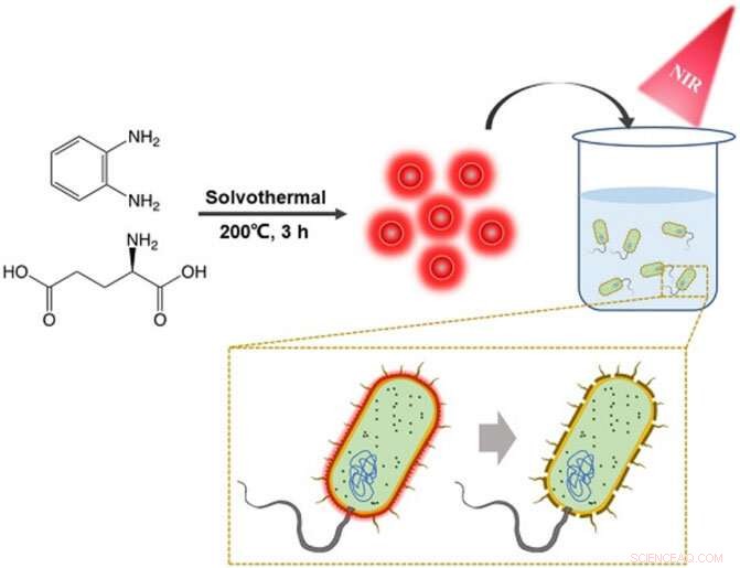 Researchers Create Synergistic Antibacterial Carbon Dots for Targeted Photothermal Therapy