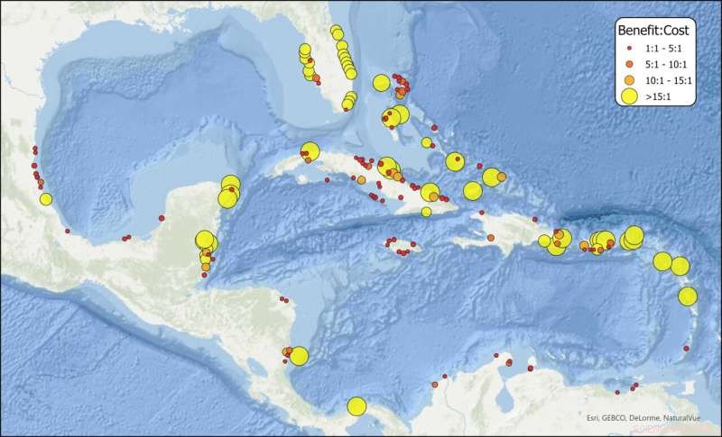 Mangrove & Reef Restoration Proven to Deliver Strong ROI for Coastal Flood Protection