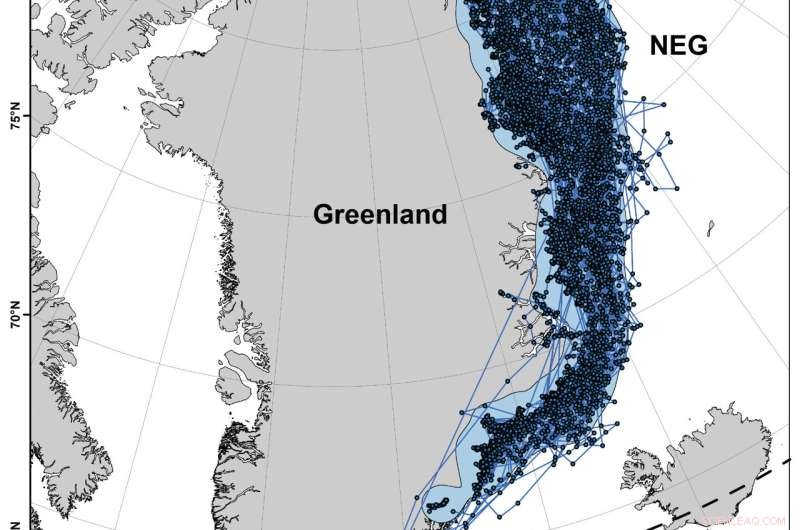 Discovery of a New Polar Bear Subpopulation in Southeast Greenland Highlights Arctic Climate Impact