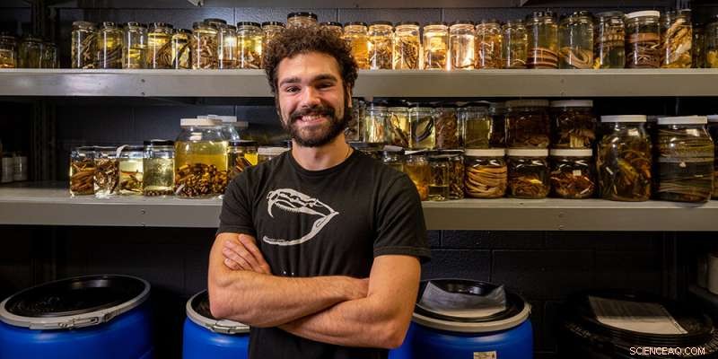 Herpetologist Warns of Snake Season in the Southwest: Tips for Residents