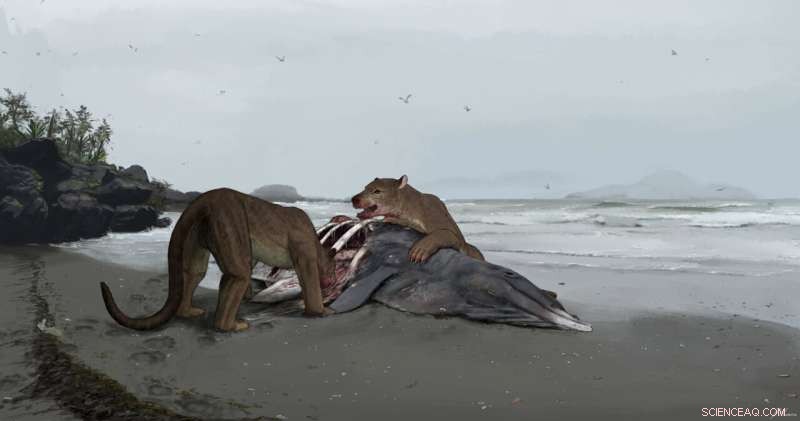 Scientists Identify 36-Million-Year-Old Bear-Dog Predator from Pyrenees