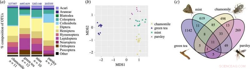Arthropod DNA Detected in Tea and Dried Herb Samples: A Comprehensive Taxonomic Study