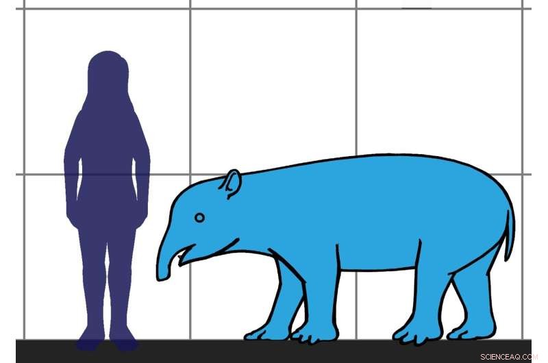 New Study Reveals Ancient South American Rodents Were Smaller Than Previously Believed