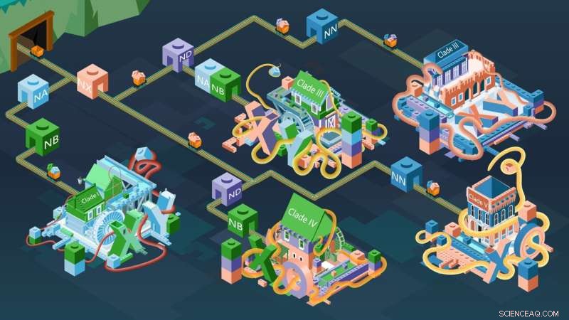 Parasitic Worms Uncover Key Evolutionary Insights into Sex and Sex Chromosome Development