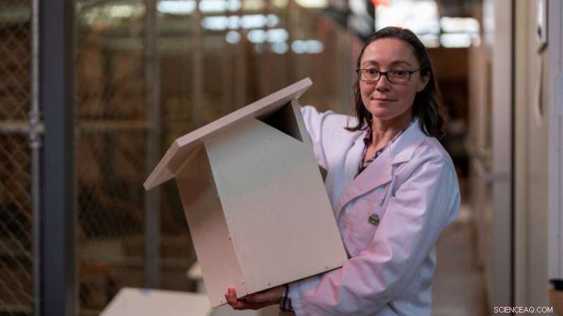 Advanced Nest Boxes Aid Greater Glider Recovery After Australian Bushfires
