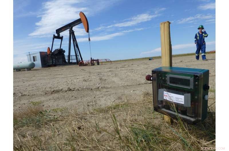 Oil Drilling Noise Threatens Prairie Songbirds: A Growing Conservation Concern