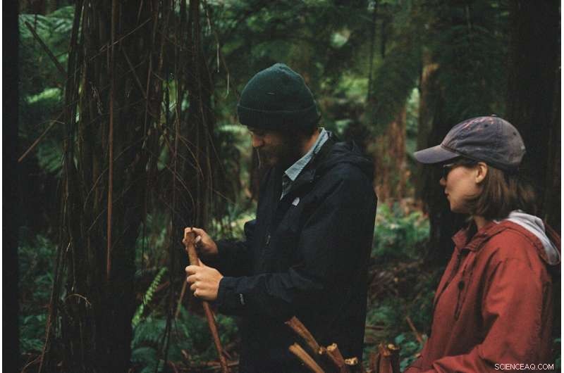 Native Bee Reveals Pathway from Solitary to Social Living: Insights into Early Evolution