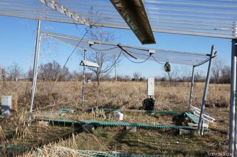 Study Reveals Warming Climate Reduces Soil Microbial Diversity