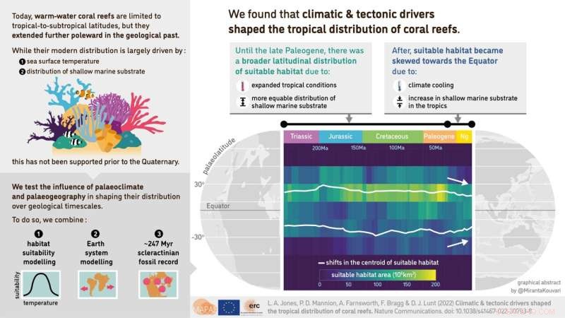 Groundbreaking Study Links Climate Shifts to Ancient Coral Reef Distribution