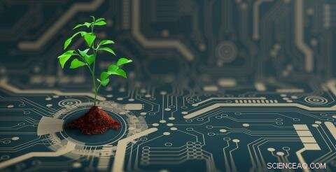 How Plants Detect Threats and Activate Defensive Responses