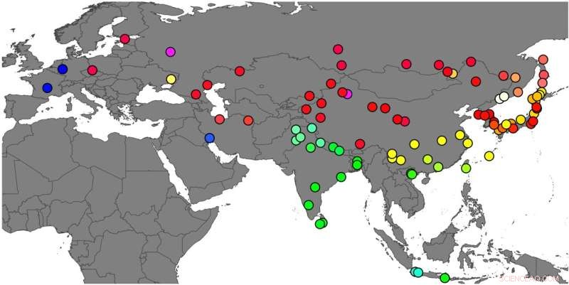 Mapping the Genetic Diversity of Wild House Mice Across Europe and Asia