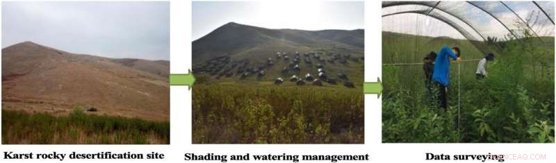 Shading & Watering Significantly Improve Seedling Survival After Topsoil Translocation in Karst Regions