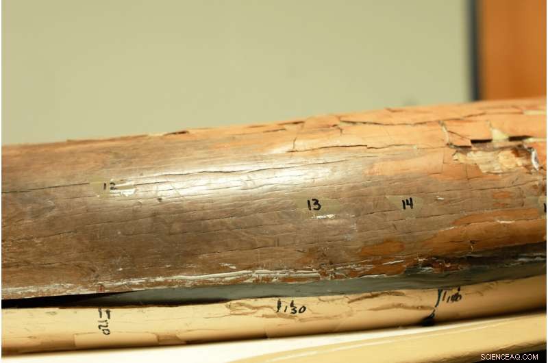 Chemical Analysis of Mastodon Tusk Uncovers First Evidence of Annual Migration in an Extinct Species