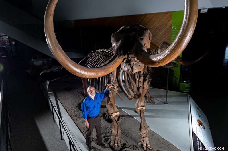 Chemical Analysis of Mastodon Tusk Uncovers First Evidence of Annual Migration in an Extinct Species