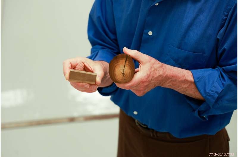 Chemical Analysis of Mastodon Tusk Uncovers First Evidence of Annual Migration in an Extinct Species