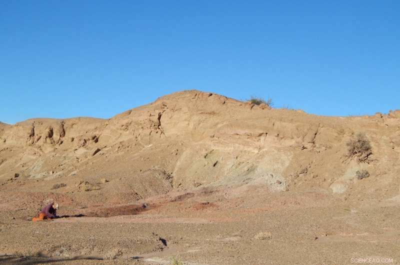 Investigating Climate-Driven Ecosystem Shifts During the Early Dinosaur Era in Argentina