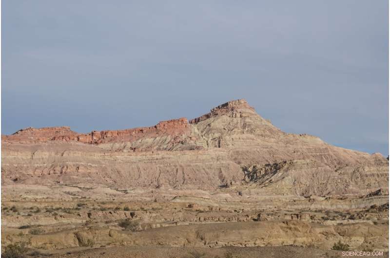 Investigating Climate-Driven Ecosystem Shifts During the Early Dinosaur Era in Argentina