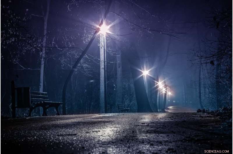 Artificial Light Alters Plant Seasonal Rhythms in U.S. Cities – New Iowa State Study