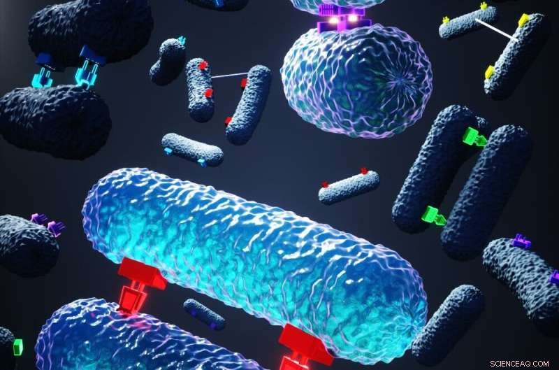 New Insights into Bacterial Conjugation Offer a Path to Combat Antimicrobial Resistance