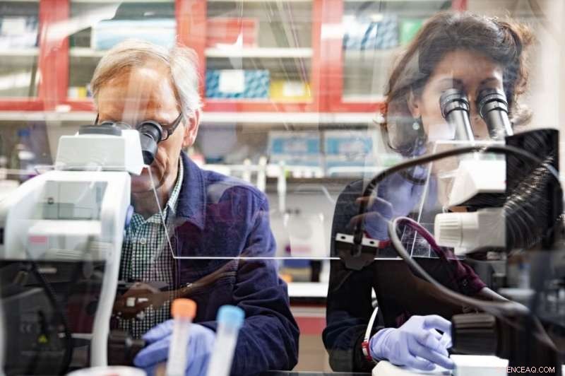 Virginia Tech Breakthrough: Mapping Mosquito Genome Paves Way to Stop Malaria Transmission