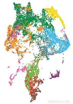 Decoding the Black Box of Early Embryonic Development