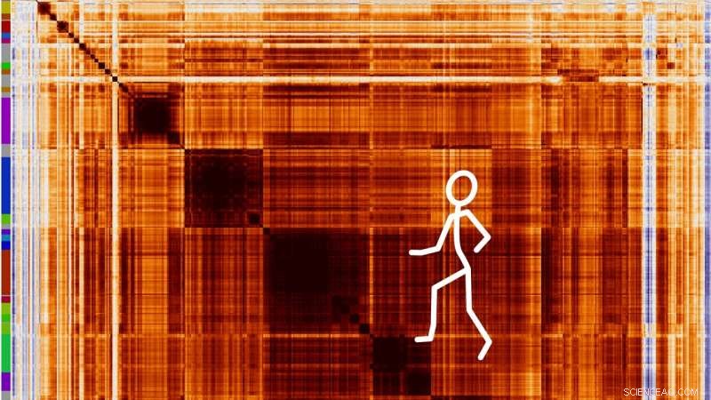 Scientists Employ CRISPR to Map Function of Every Human Gene