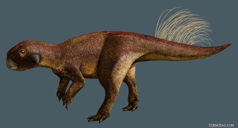 Scientists Uncover First Dinosaur Belly Button Using Advanced Laser Imaging