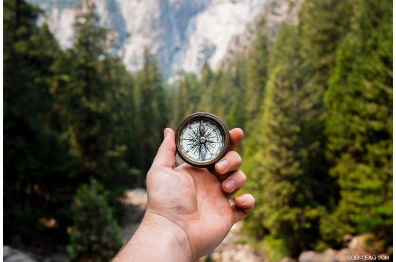 Do Humans Have an Innate Moral Compass? New Japanese Study Provides Insight