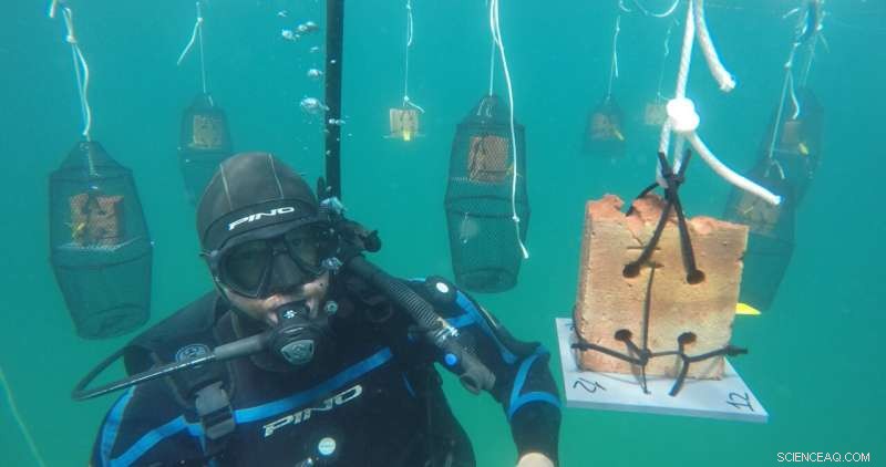 Rising Ocean Temperatures Amplify Marine Predation, Threatening Coastal Ecosystems