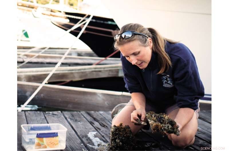 Rising Ocean Temperatures Amplify Marine Predation, Threatening Coastal Ecosystems