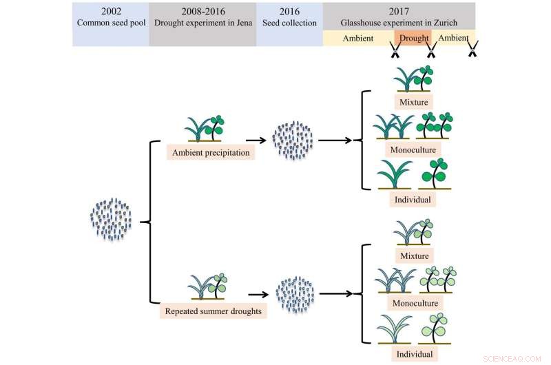 Prior Drought Exposure Enhances Grassland Recovery After Subsequent Drought