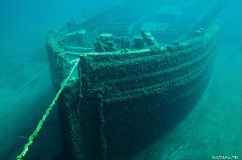 Study Reveals 19th-Century Wooden Shipwrecks as Thriving Habitats for Deep-Sea Microbiomes