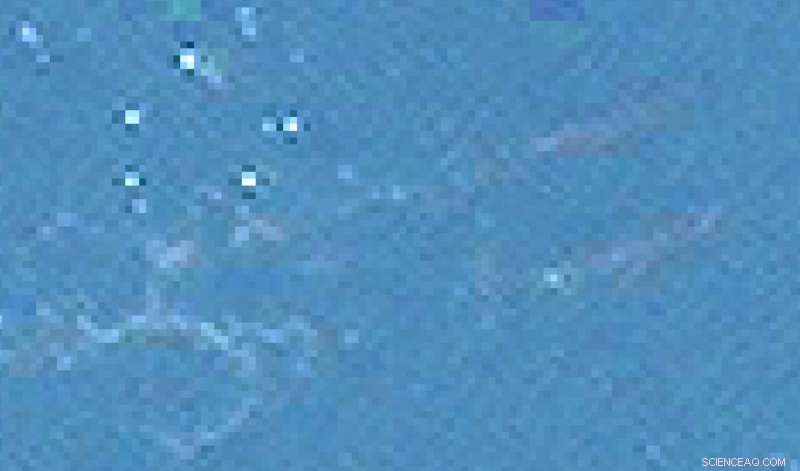 New Satellite Whale Dataset Powers AI for Conservation