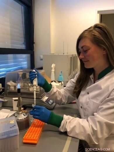 Bacteria Shed Cell Walls to Counter Viral Attack: A Novel Defense Strategy