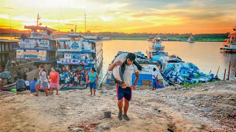 Amazon River Freshwater Fish Threatened by Overexploitation