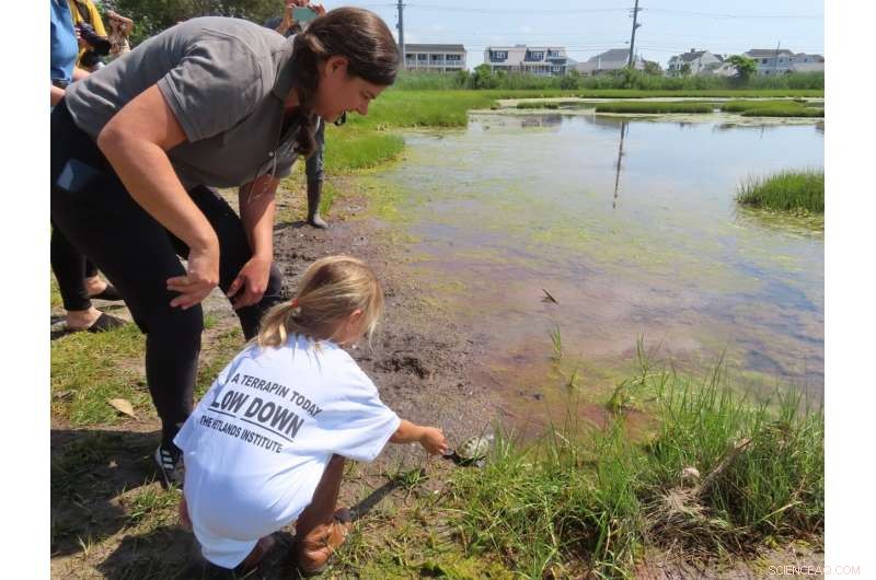 Kindergarteners Release Orphaned Turtles Back into the Wild