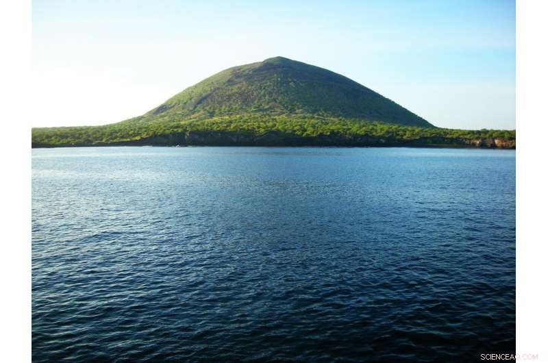 Study Urges Rewilding of Galápagos Island with Tortoises and Native Plants to Restore Ecosystem