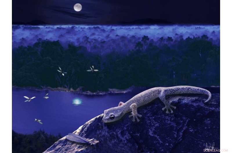 New Fossil Reveals 47‑Million‑Year‑Old European Gecko Lineage