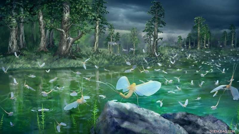 Ancient Mayfly Swarm Fossils Reveal China s Earliest Insect Resource Pulses