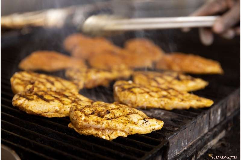 Undetected Salmonella: Low-Level Contamination Escapes Conventional Testing Methods