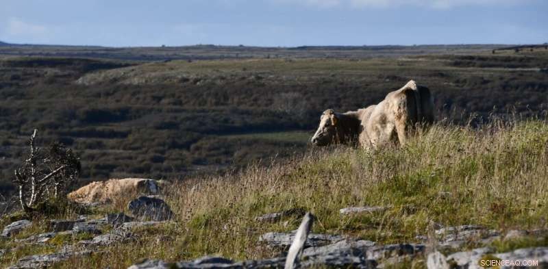 Sustainable Farming Systems Offer Global Food Security—Industry Must Step Back