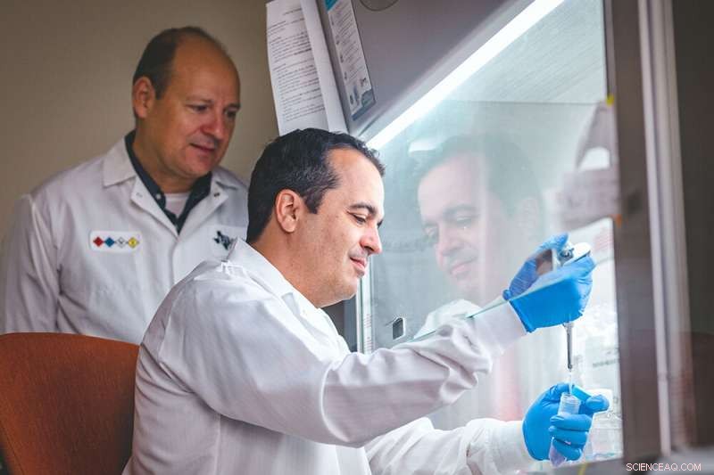 Revolutionary Tech Ensures Authenticity & Safety of Engineered Cell Lines