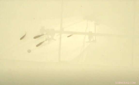 Robotic Models Reveal How Predatory Fish Adapt to Unpredictable Prey