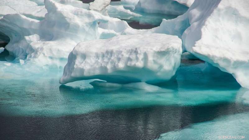 Zinc Drives Complex Life Evolution in Polar Oceans: New Study Reveals Key Role and Climate Threat