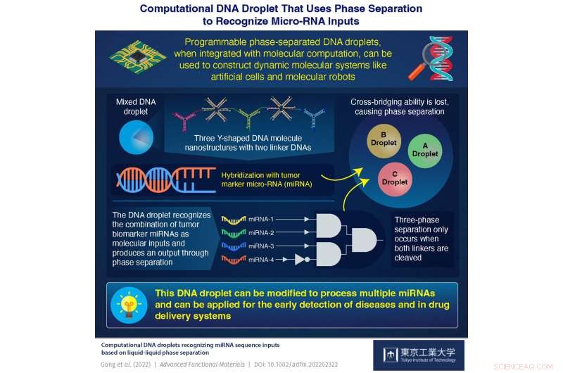 Innovative DNA Droplet Technique for Rapid Early Disease Detection