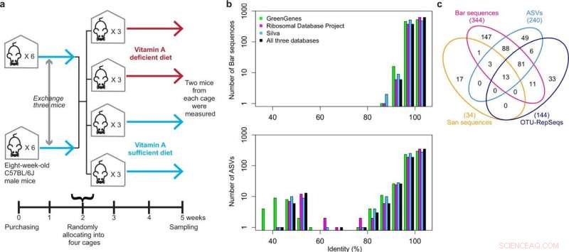Accelerated Single-Cell Microbiota Analysis Now Feasible