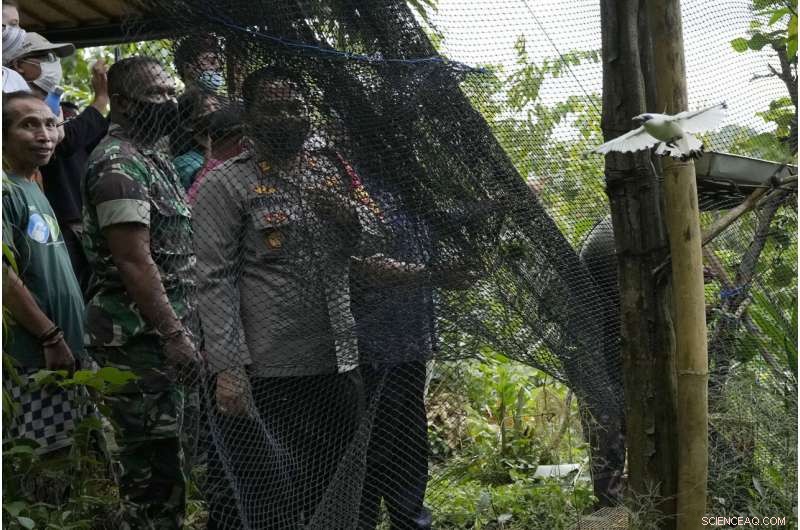 Bird Sellers in Bali Propel the Endangered Mynah’s Return